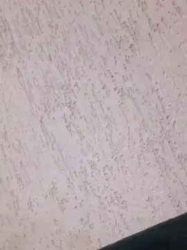 Zuluepreta1  live sex cam