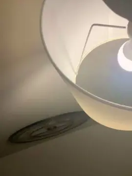 Shhstace  live sex cam