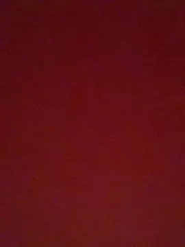 SognamiSempre  live sex cam