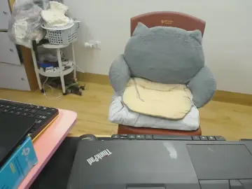 JangMi  live sex cam