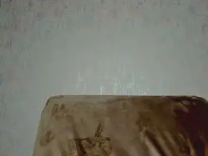 MeriGram  live sex cam