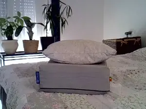Paulastar3  live sex cam