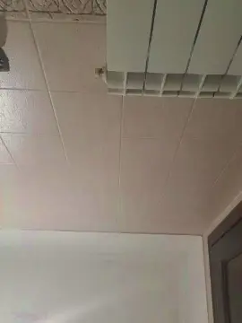 Mauroxv79  live sex cam