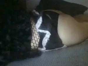 Mia_Milf_happy  live sex cam