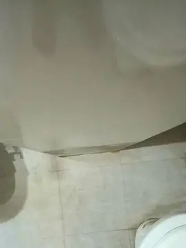 Hornyzinia  live sex cam