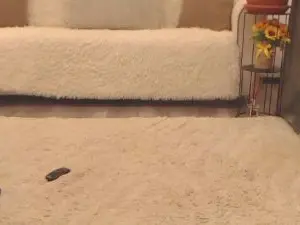 LadyDiavola  live sex cam