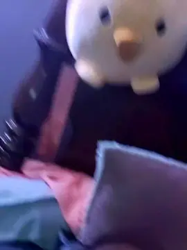 Geekari  live sex cam