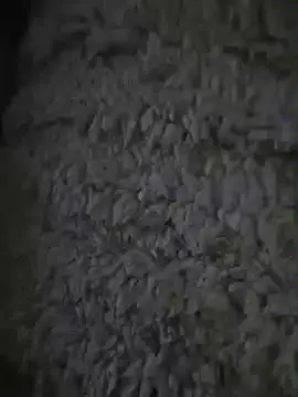 Geilbeertje_xxx  live sex cam