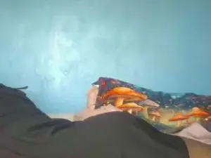 Montana_9  live sex cam