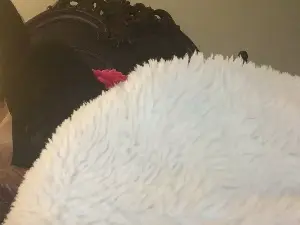 Brittneybenzo20  live sex cam