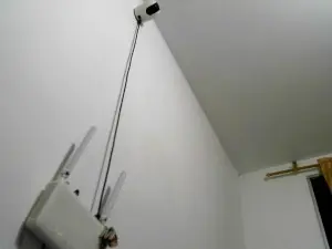 Vane9307  live sex cam