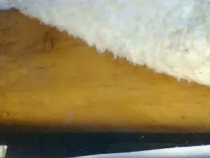 PITAREX  live sex cam