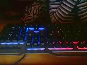 PITAREX  live sex cam