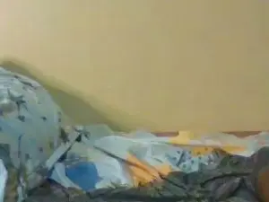 Petitelavishey1  live sex cam