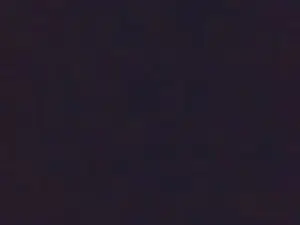 Evvaa4  live sex cam