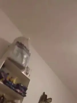 Vitto_p  live sex cam