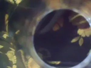 Mlyyyaa  live sex cam