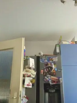 WetGerman  live sex cam