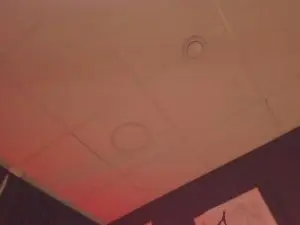 AdeleNovak  live sex cam