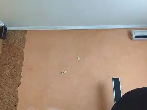 MickeyAnway  live sex cam