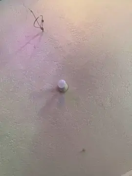 Alicepractice5  live sex cam