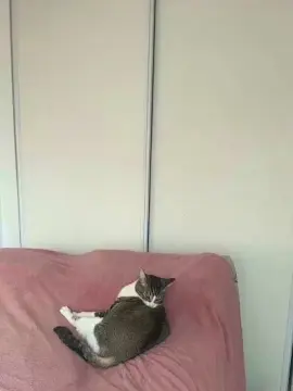 Fflormquiros  live sex cam