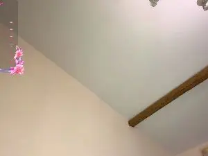 SHY_XOXO  live sex cam