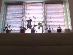 Have_funnn  live sex cam