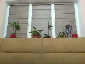 Have_funnn  live sex cam