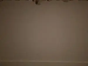 Cosmica45  live sex cam