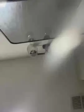 Vegan_lov3  live sex cam