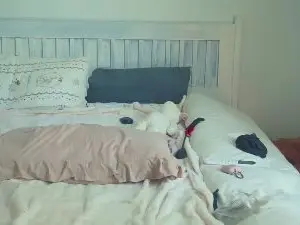 HelennHiss  live sex cam