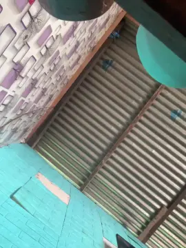 Shygirl48  live sex cam