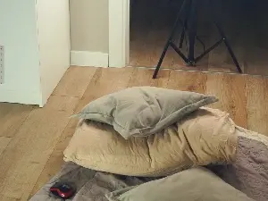 NikoleMontrose  live sex cam