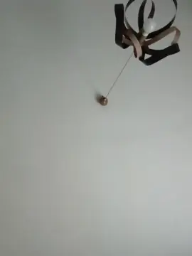 Calda225  live sex cam