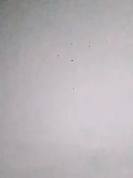 Bbydemon  live sex cam