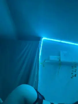 Dreababy  live sex cam