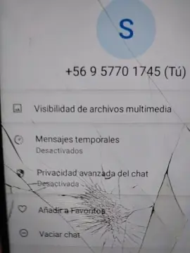 Sofitaxxx  live sex cam
