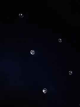 Sofitaxxx  live sex cam
