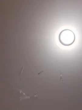 Ogliltias  live sex cam