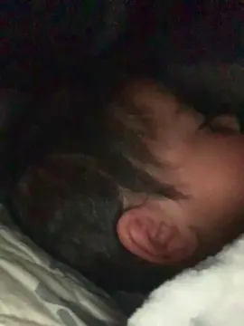 Sayywhatt33  live sex cam