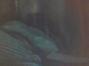 Cutie_pie_hot  live sex cam