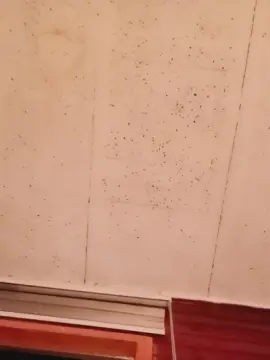 Gatotagatita  live sex cam