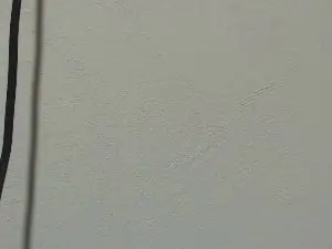 DianiKris_sex  live sex cam