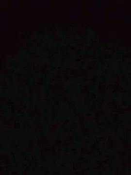 Cecilia81  live sex cam