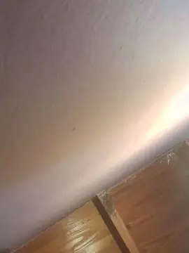 R0m44  live sex cam