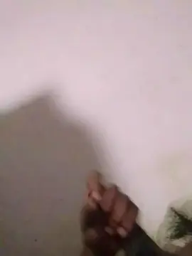 NovinPutao20  live sex cam