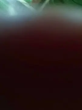 Cristal203  live sex cam