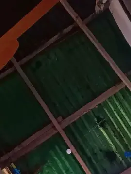 Cristal203  live sex cam