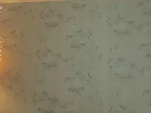 KymPicht  live sex cam